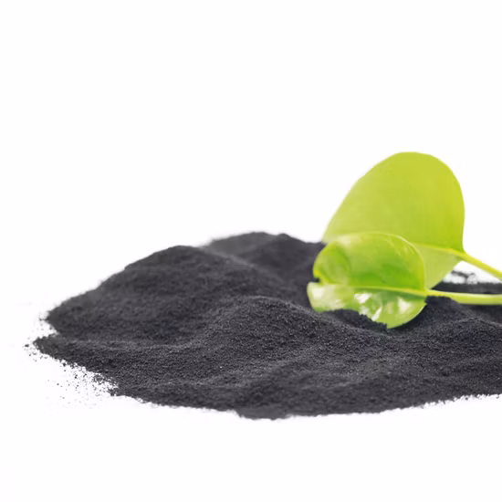 Bio
