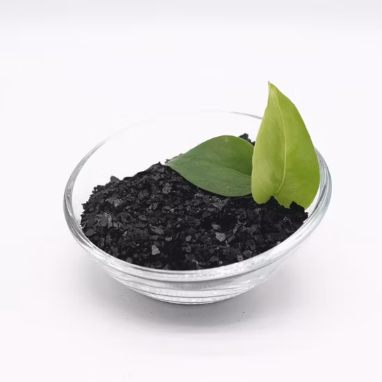 Bio